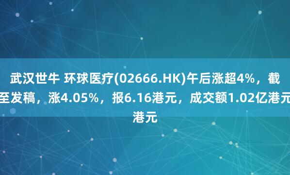 武汉世牛 环球医疗(02666.HK)午后涨超4%，截至发稿，涨4.05%，报6.16港元，成交额1.02亿港元