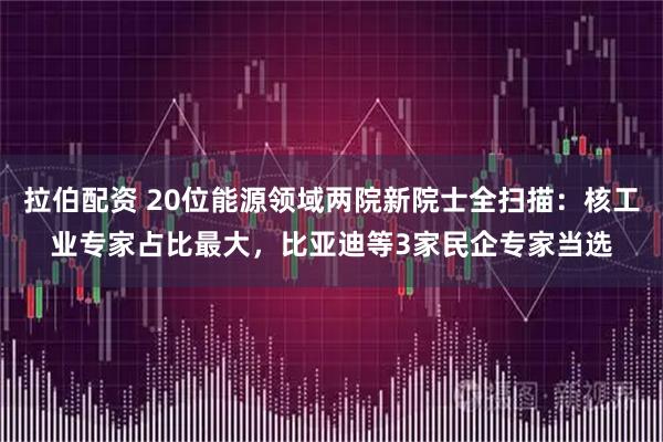 拉伯配资 20位能源领域两院新院士全扫描：核工业专家占比最大，比亚迪等3家民企专家当选