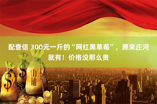 配查信 300元一斤的“网红黑草莓”，原来庄河就有！价格没那么贵